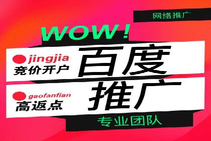 百度推广精准定位，案例深度解析